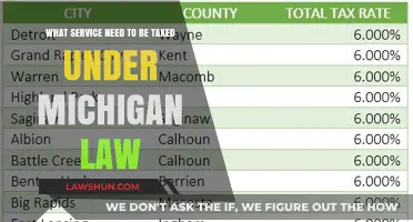 Michigan Tax Law: Which Services Are Taxable?