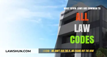 Universal Legal Codes: Seven Common Laws