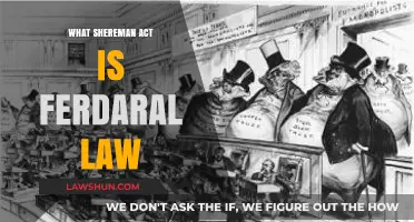 Understanding the Sherman Act: Key Federal Antitrust Law Explained