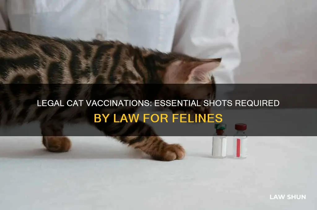 what shots do cats need by law