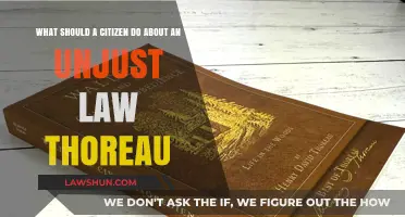 Resisting Unjust Laws: Thoreau's Guide to Civil Disobedience and Action