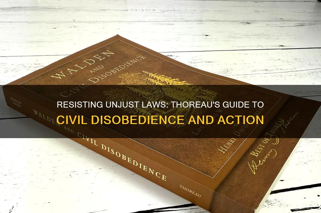 what should a citizen do about an unjust law thoreau