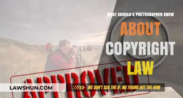 Essential Copyright Law Knowledge Every Photographer Must Understand Today