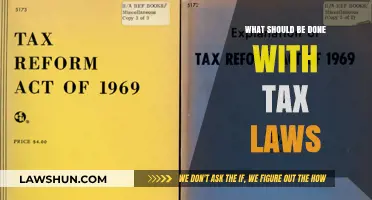 Tax Laws: A Fairer Future?