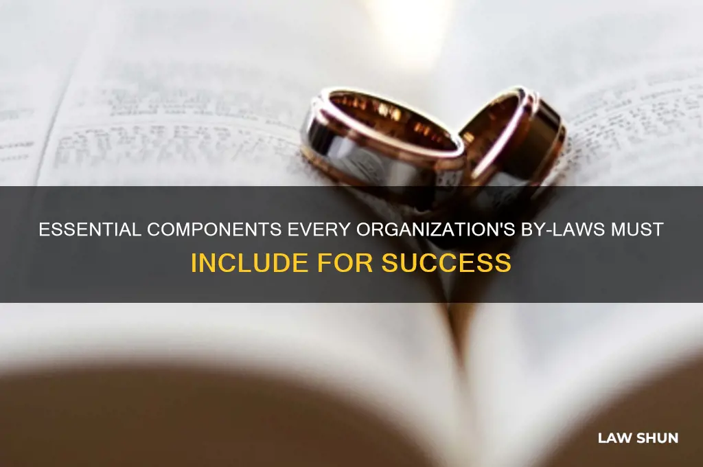 what should be listed in an organization