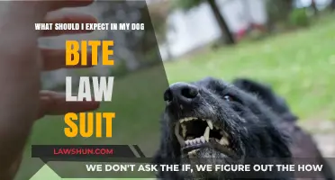 Navigating Dog Bite Lawsuits: What to Expect in Your Legal Journey