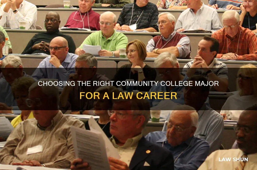 what should i major in at community college for law