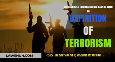 Redefining Global Security: International Law’s Challenge Without a Terrorism Definition