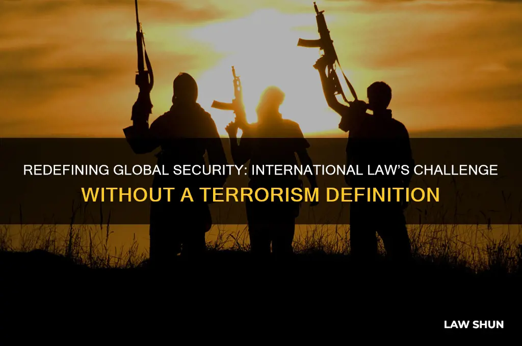 what should internatiaonla law do with no definition of terrorism