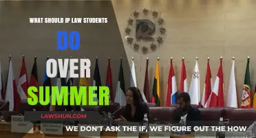 Summer Strategies: IP Law Students' Guide to Productive Break Activities