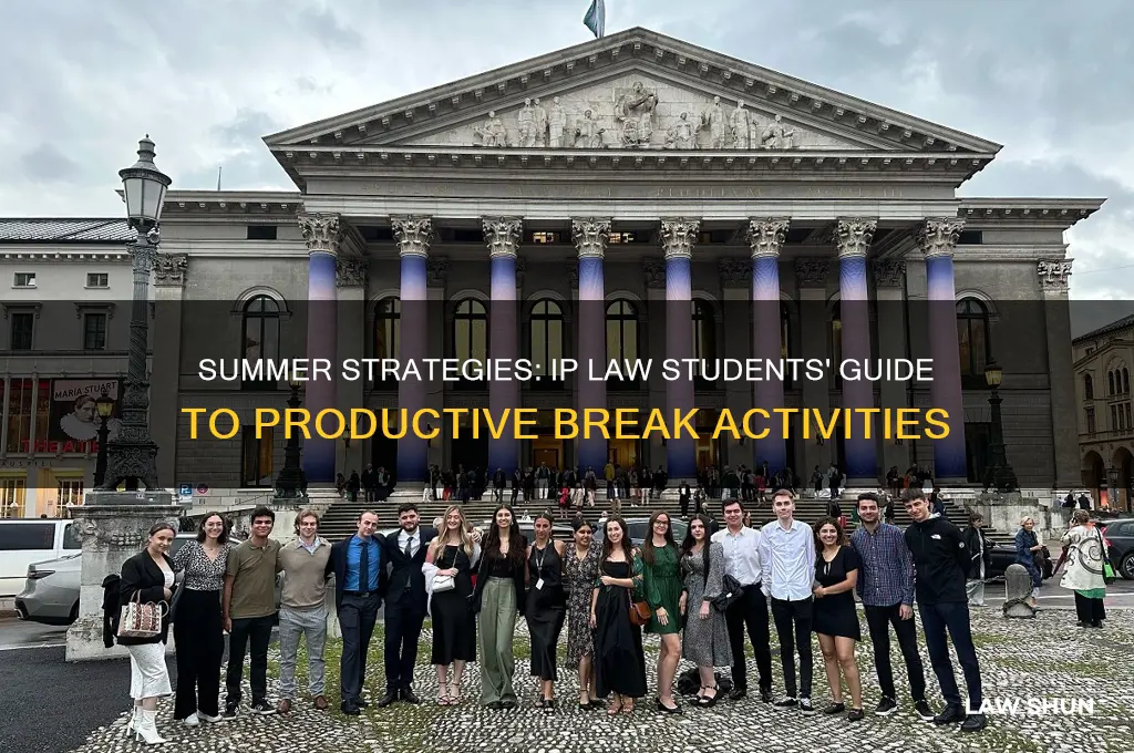 what should ip law students do over summer