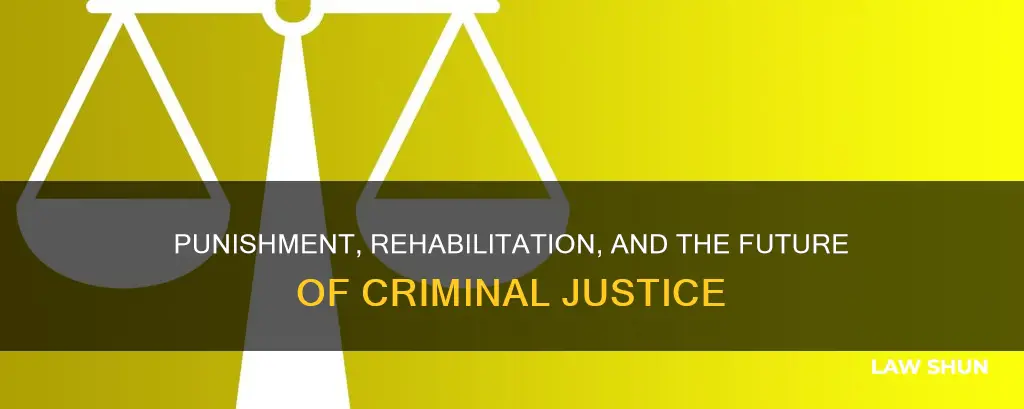 what should we do with people who break the law