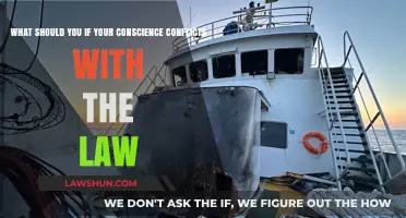 Conscience vs. Law: Navigating Ethical Dilemmas and Moral Obligations