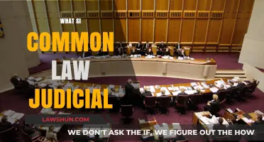 Understanding Common Law Judicial Systems