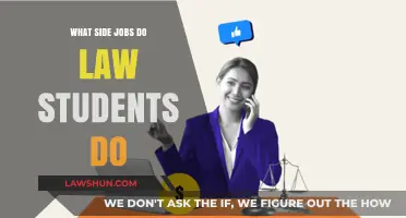 Side Hustles for Law Students: Balancing Studies and Extra Income