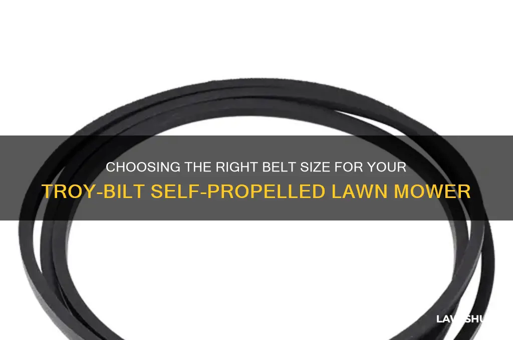 what size belt for a troy-bilt self propeled lawan mower