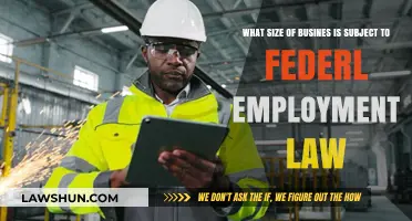 Understanding Federal Employment Law: Which Business Sizes Are Covered?