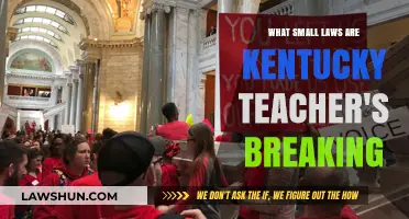 Unveiling the Small Breaches: Kentucky Teachers' Legal Missteps