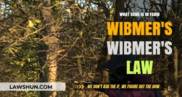 Wibmer's Law Soundtrack: Unveiling Fabio Wibmer's Epic Ride Music