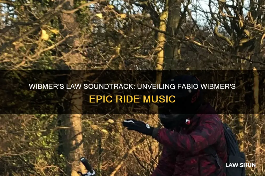 what song is in fabio wibmer