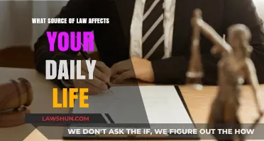 How Everyday Laws Shape Your Daily Routine and Choices
