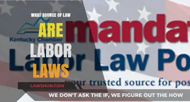 Understanding Labor Laws: Exploring Their Legal Origins and Sources