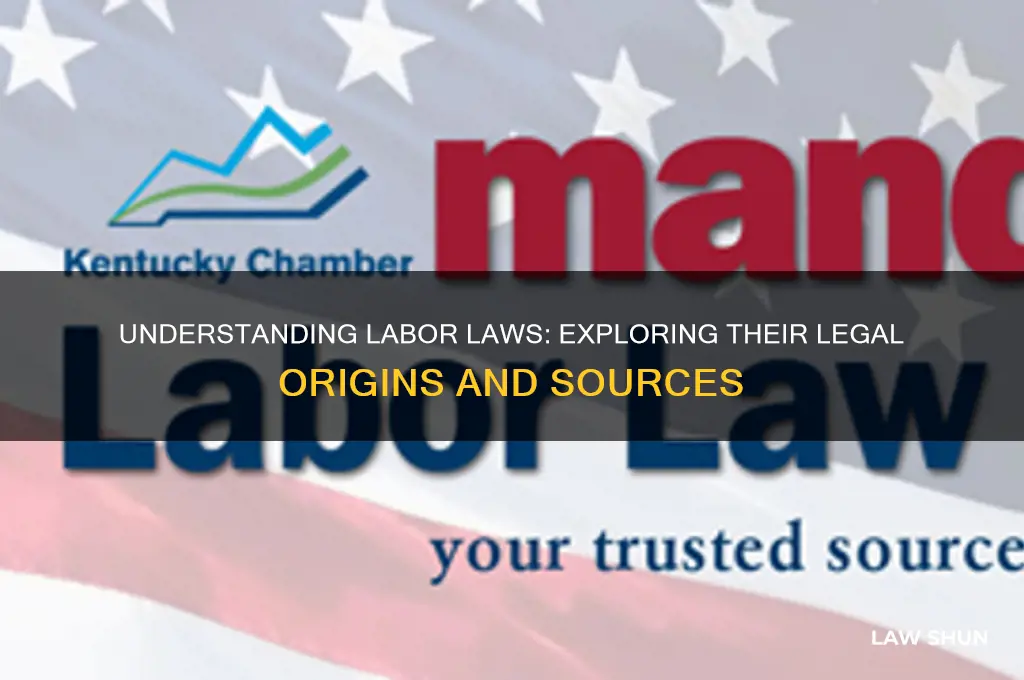 what source of law are labor laws