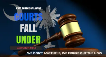Understanding the Legal Framework: What Source of Law Governs Courts?