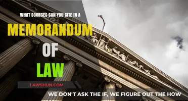 Citations in a Memorandum of Law: What Sources?