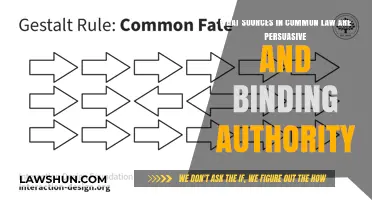 Common Law Sources: Persuasive vs. Binding Authority