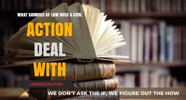 Understanding Civil Actions: Key Legal Sources Explained