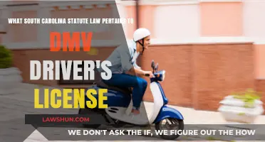 South Carolina Statute Law: DMV Driver's License Explained