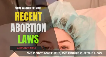 Recent Abortion Law Changes: What's the Spark?