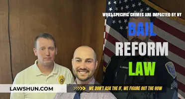 NY Bail Reform Law: Crimes Affected and Legal Implications