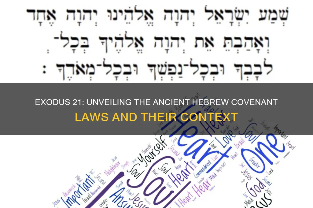 what specific group of laws does exodus 21 belong to