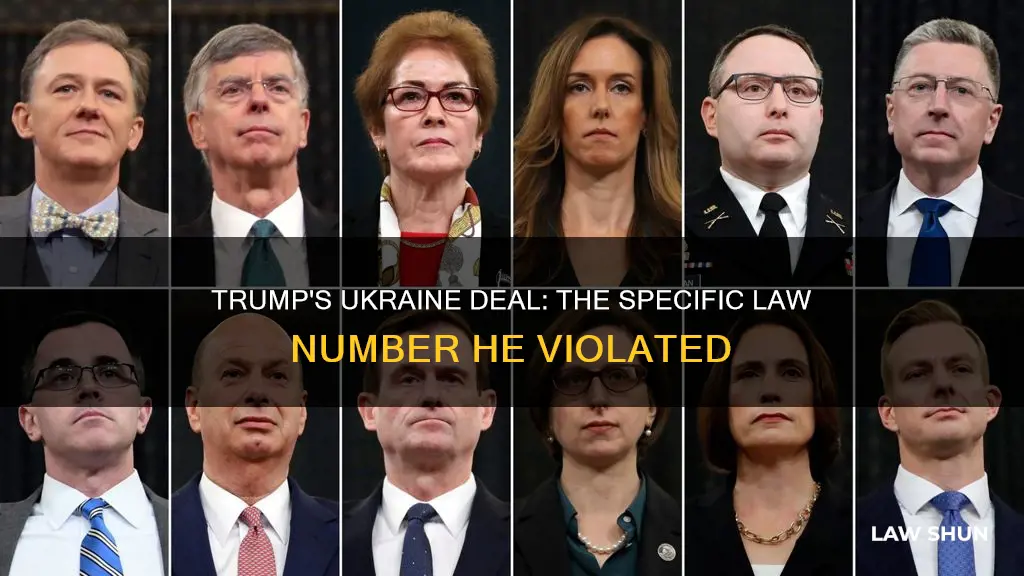 what specific law number did trump break with ukraine