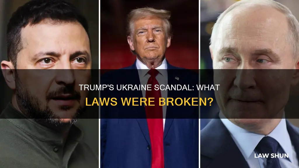 what specific law number did trump break with ukraine