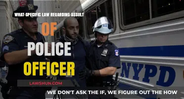 Understanding Assault on Police Officers: Key Legal Provisions Explained
