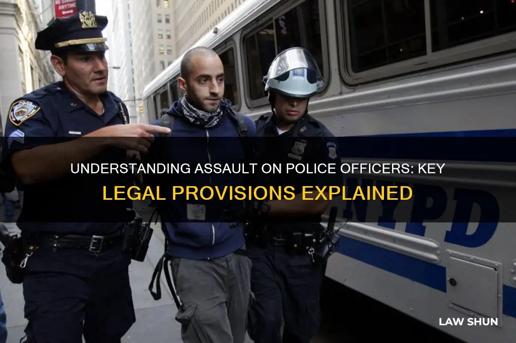 what specific law regarding assult of police officer