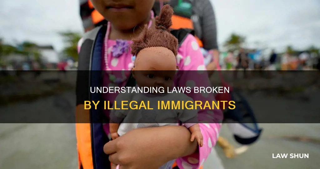 what specific laws are illigal immigrants breaking
