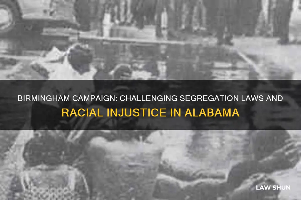 what specific unjust laws is the birmingham campaign directed against