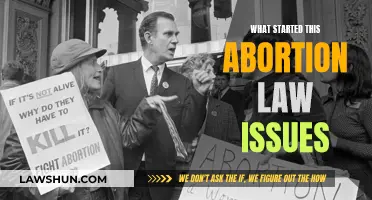 The Abortion Law: How Did We Get Here?