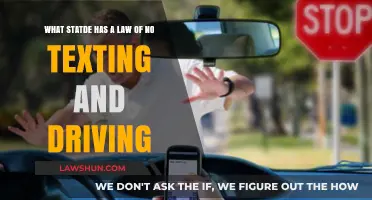States Banning Texting and Driving: Which One Leads the Way?