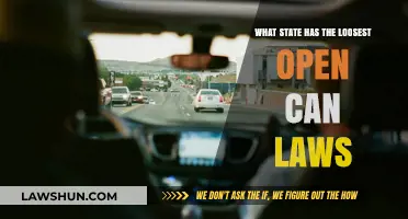 Open Container Laws: Where Can You Drink in Public?