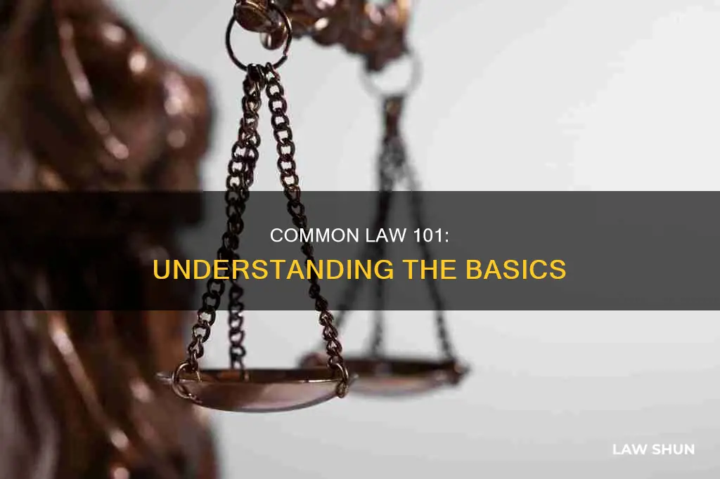what statement best defines common law ba 101
