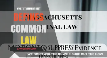 Understanding Common Law: A Historical Definition