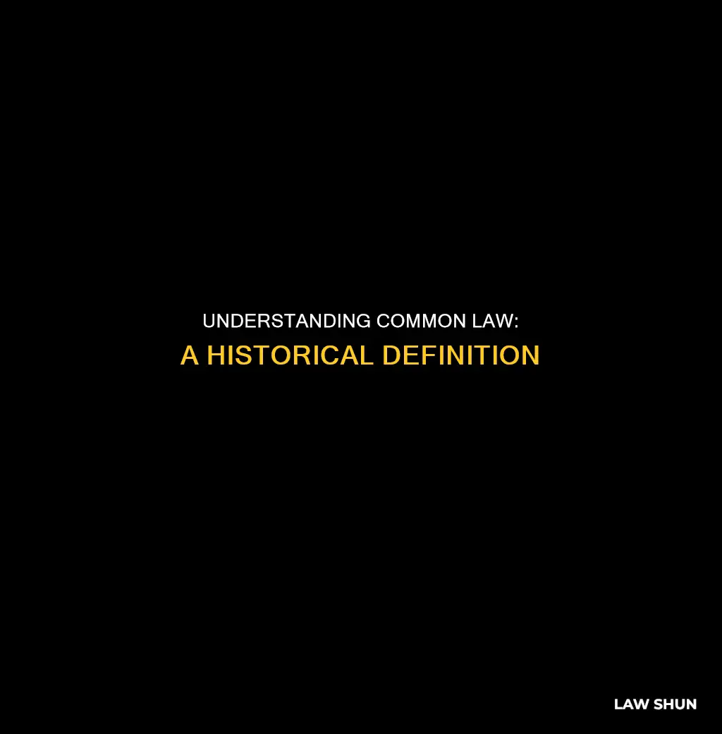 what statement best defines common law