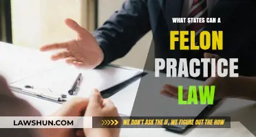 Where Can Felons Practice Law in the US?