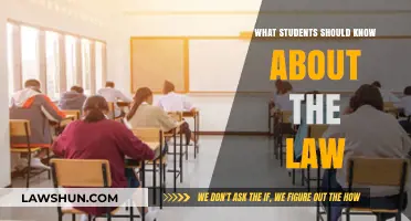 Understanding Legal Basics: Essential Law Knowledge for Every Student