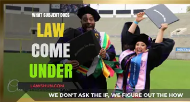 Understanding Law's Academic Classification: Which Subject Does It Belong To?